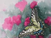 Butterfly 200x260 mm