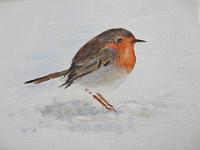 IMG 1911  Roodborstje 2, aquarel, 24x18 cm