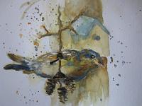 IMG 2707  Vogel op elzentak, aquarel, 20x20 cm