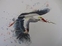 IMG 2805  Ooievaar, aquarel, 33x26 cm