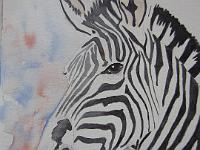 IMG 4330  Zebra met achtergrond, aquarel, 18x25 cm