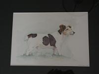 PICT0940  Verkocht-Jack russel 2, aquarel