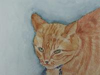 PICT2135  Verkocht-rode kater, aquarel