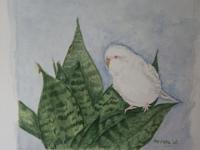 PICT2238  Verkocht-Parkiet, aquarel