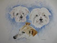 schilderij honden Trees  Verkocht-Honden, aquarel