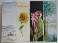 IMG 0906  Bladwijzers, nog in aanpassing