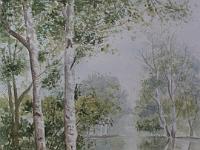 PICT2236  Boslandschap 1, aquarel, 29x39 cm, ingelijst 50x60 cm