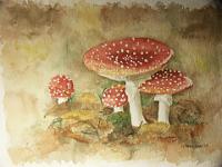 PICT2280  Paddestoelen, aquarel,